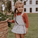 Ranita bailarina Lucania