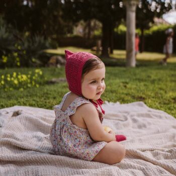 Ranita Quimera - Imagen 2